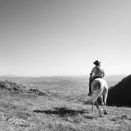 Tramonti Bed & Breakfast