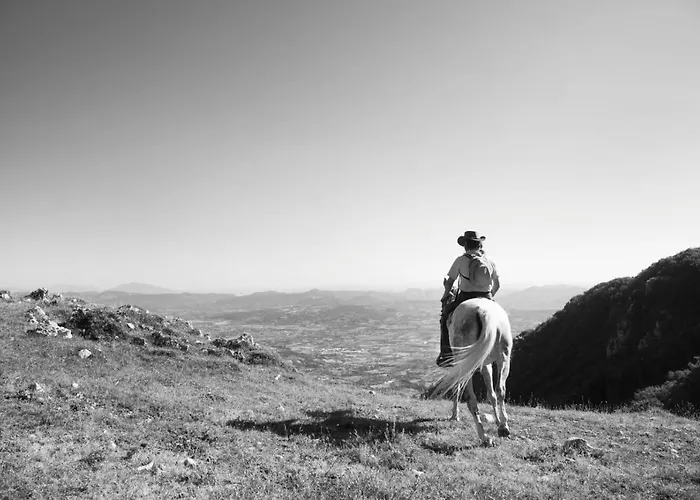 Tramonti Couette-café